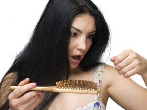 Trị gàu và rụng tóc hiệu quả từ lá thông